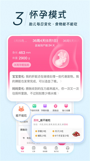 美柚官方版