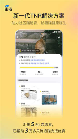 哈啰街猫最新版