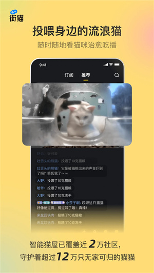 哈啰街猫最新版