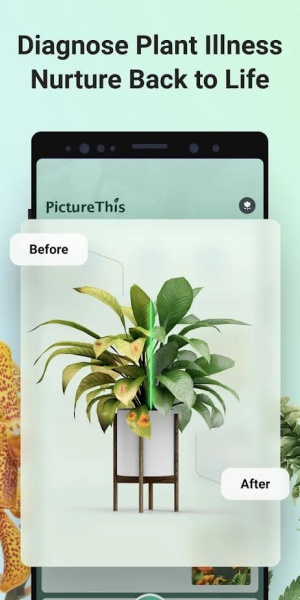 形色识植物官方版