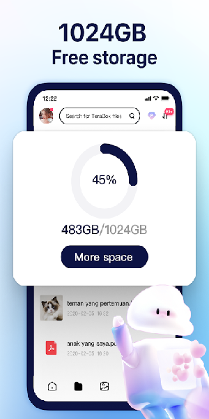TeraBox Mod Apk