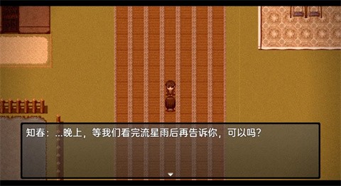 流星降临的小镇来自过去的幽灵手机版