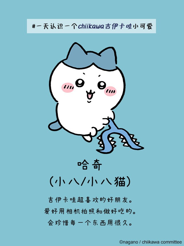 角色介绍2