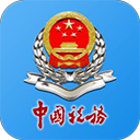 河南省电子税务局最新版本