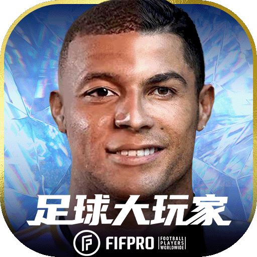 足球大玩家小米版
